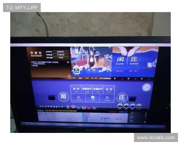 亚星百家乐优惠活动与奖励机制详解让你充分利用各种福利提升收益