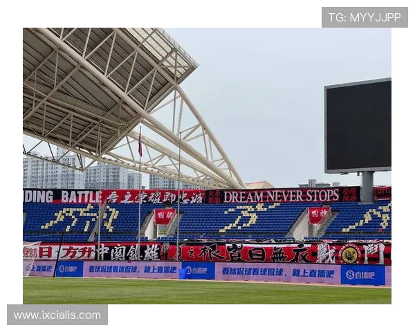 海星直播体育积极布局国际市场,拓展海外用户群体推动中国体育直播走向世界